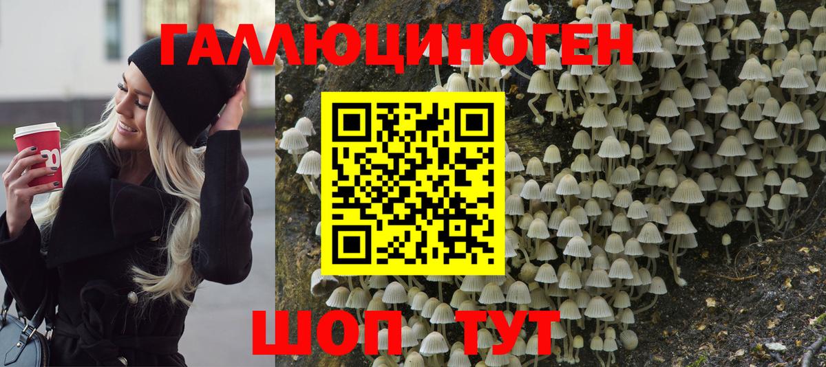 Коммунар  Псилоцибиновые грибы Magic Shrooms  Вход с VPN 